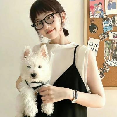 遗失的小美好之谎言